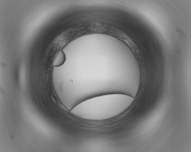 X0000090970765200708021142