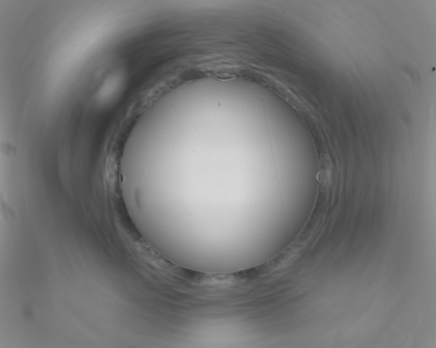 X0000090970767200708021142