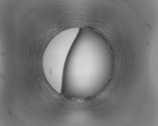 X0000090970768200708021142