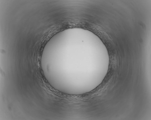 X0000090970770200708021141