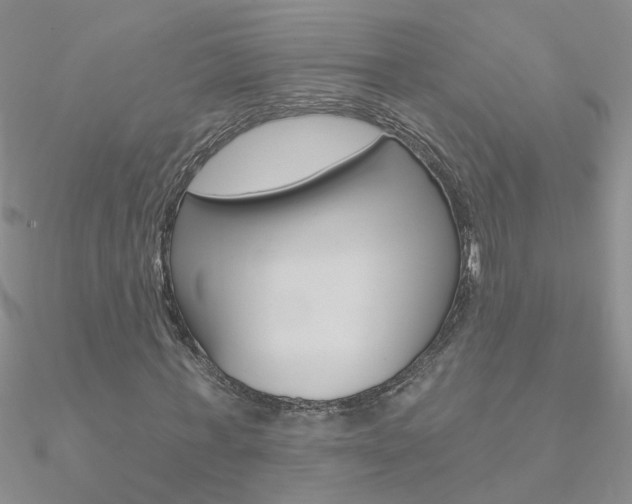 X0000090970771200708021141