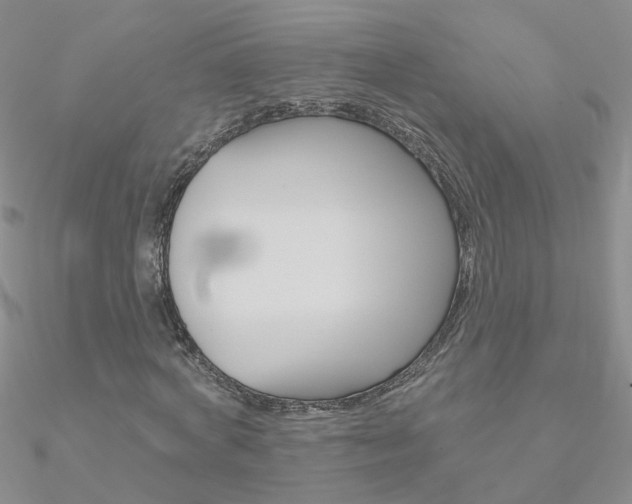X0000090970772200708021141