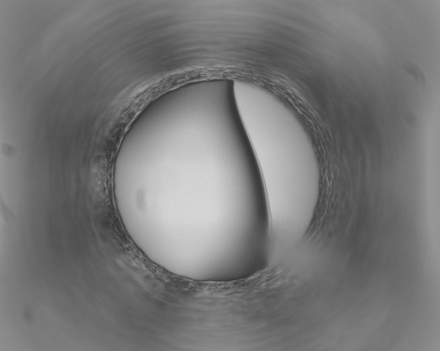 X0000090970773200708021141