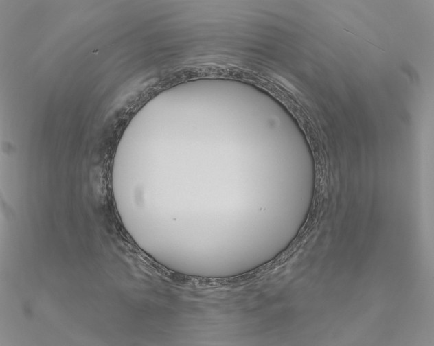 X0000090970774200708021141