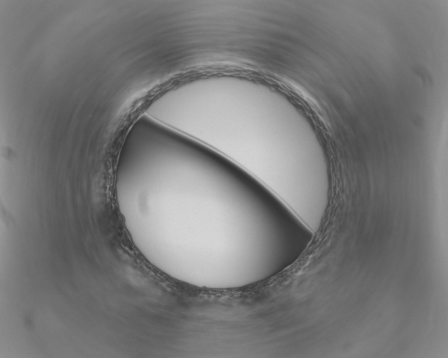 X0000090970775200708021141