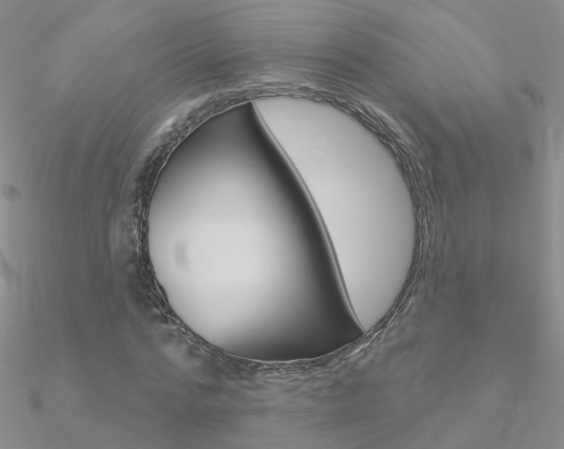 X0000090970776200708021141