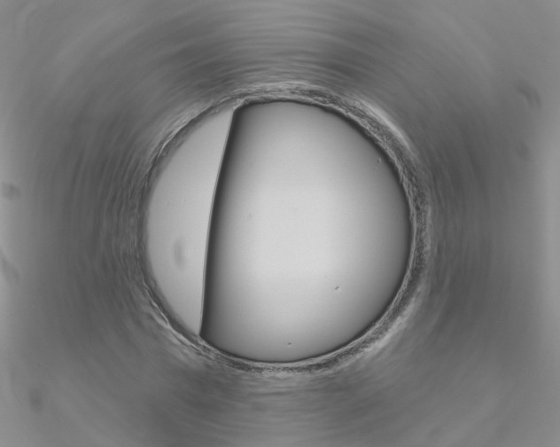 X0000090970777200708021141
