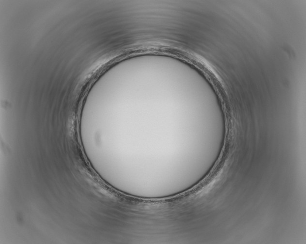 X0000090970778200708021141