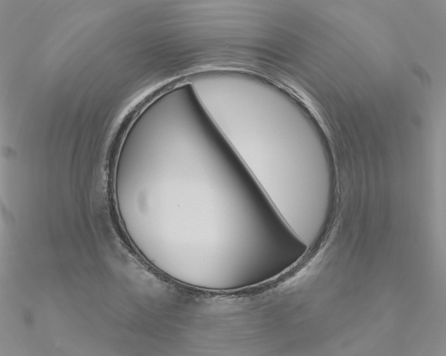 X0000090970779200708021141