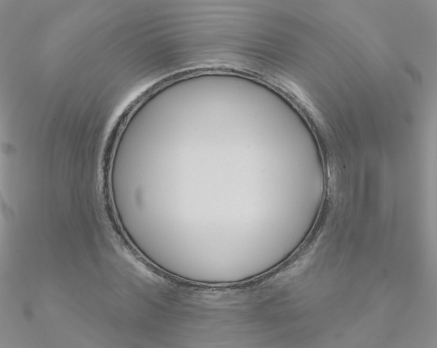 X0000090970780200708021141