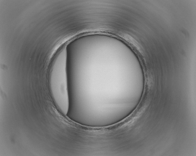 X0000090970781200708021141