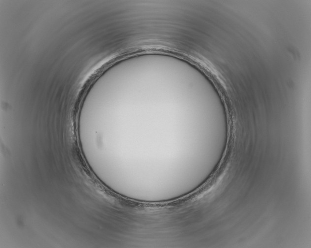 X0000090970782200708021141