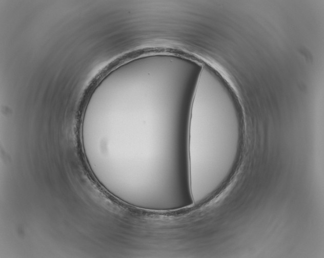 X0000090970783200708021141