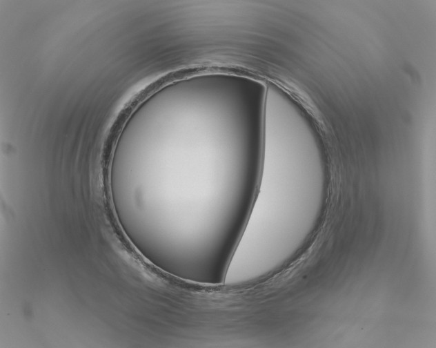 X0000090970784200708021141