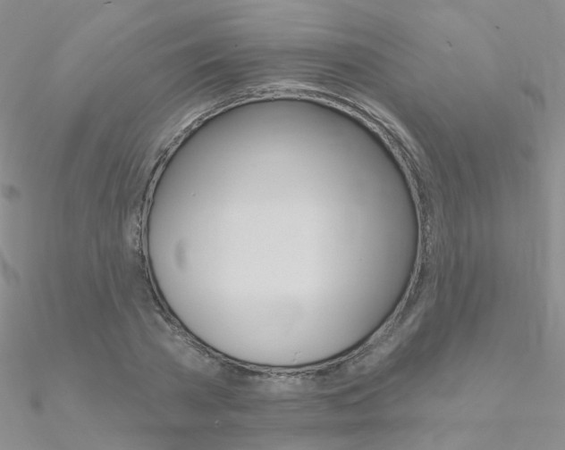X0000090970785200708021141