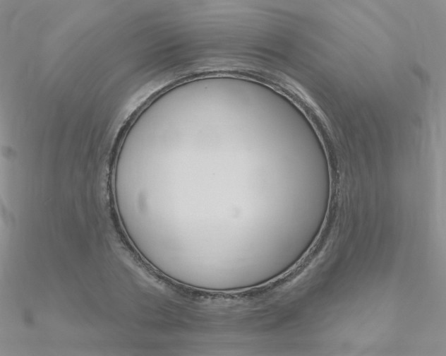 X0000090970786200708021141