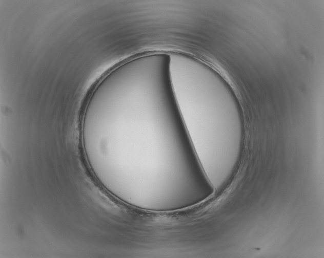 X0000090970787200708021141
