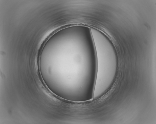 X0000090970788200708021141