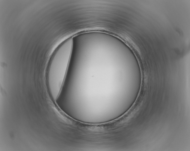 X0000090970789200708021141
