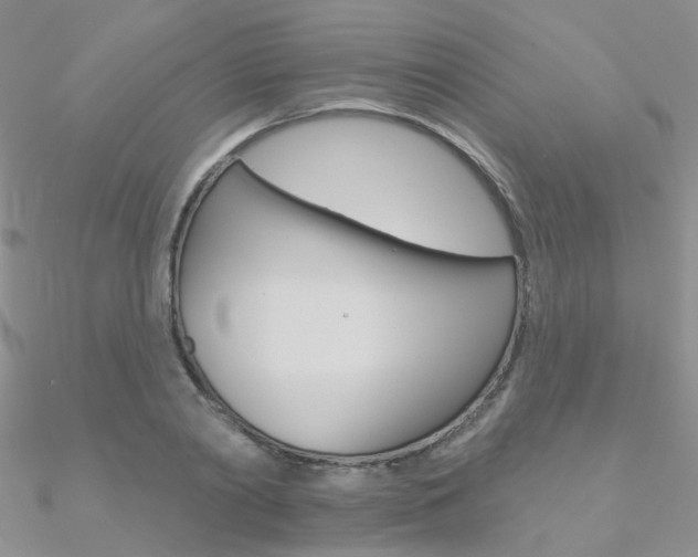 X0000090970790200708021141