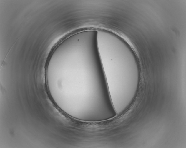 X0000090970791200708021141