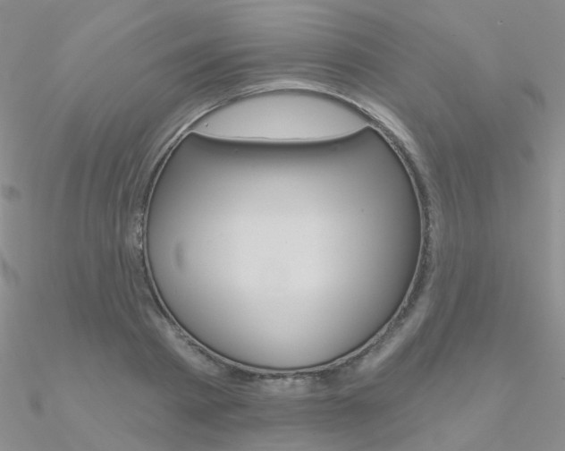 X0000090970793200708021141