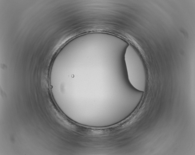 X0000090970794200708021141