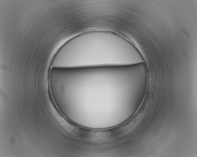 X0000090970795200708021141