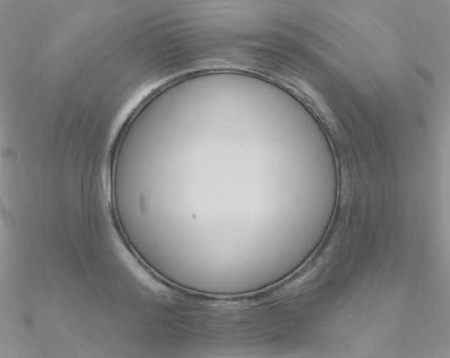 X0000090970796200708021141