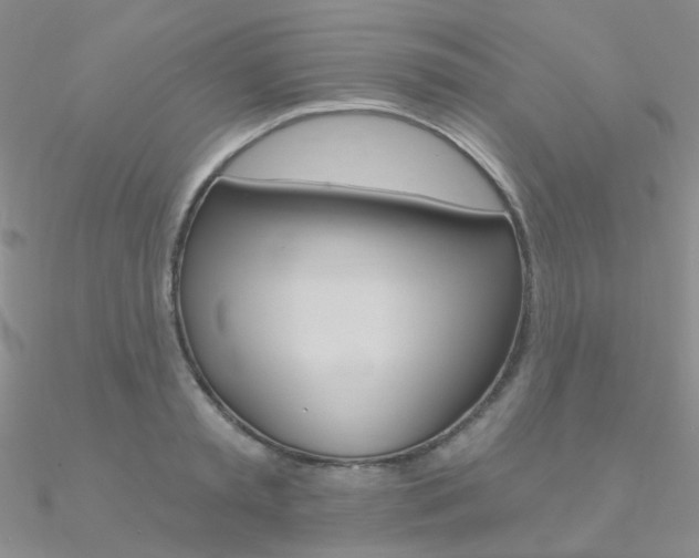 X0000090970797200708021141