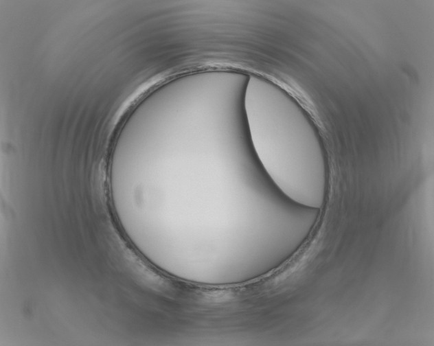 X0000090970798200708021141