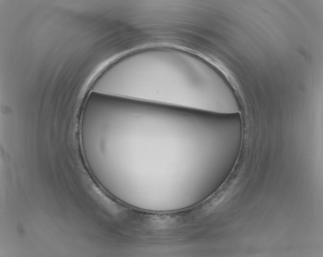 X0000090970799200708021141