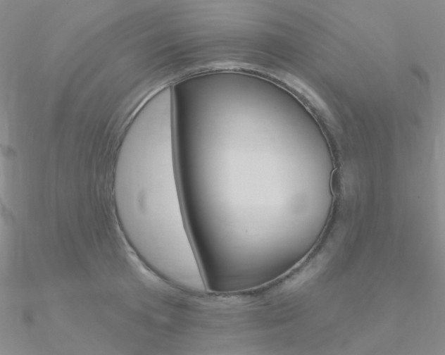 X0000090970801200708021141
