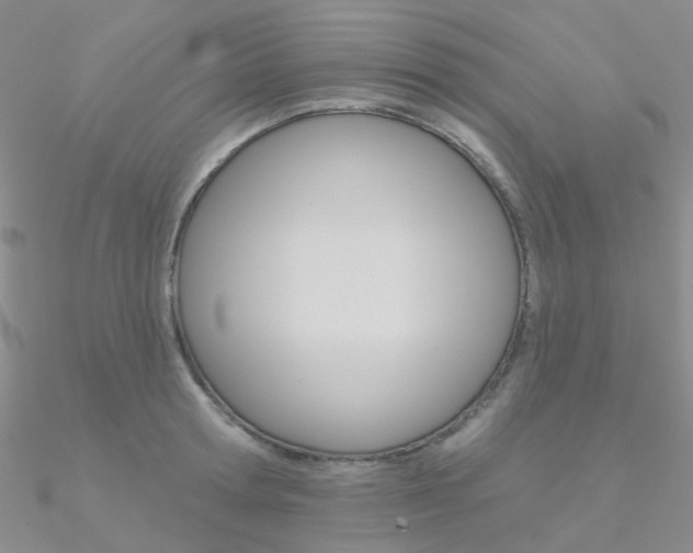 X0000090970802200708021141