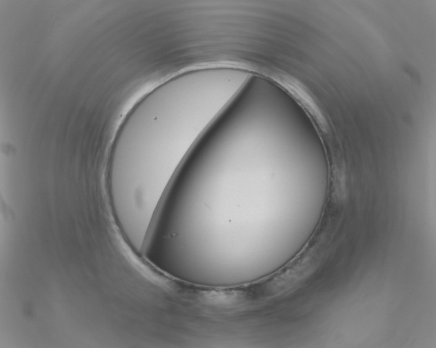 X0000090970805200708021141