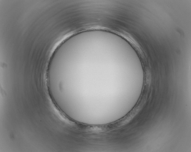 X0000090970806200708021141