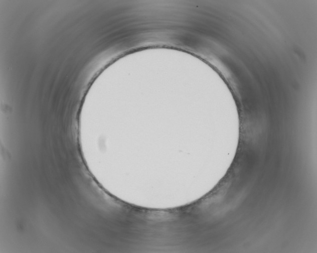 X0000090970807200708021141