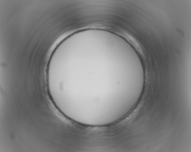 X0000090970808200708021141