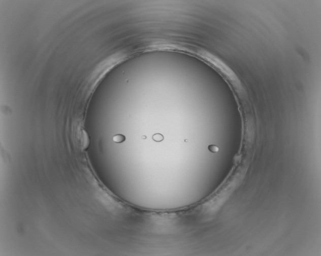 X0000090970809200708021141