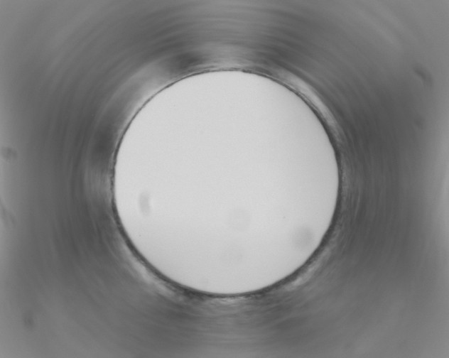 X0000090970810200708021141