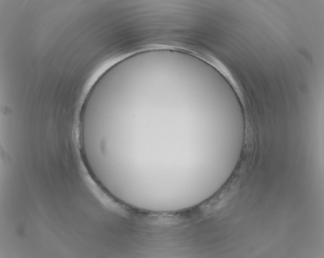 X0000090970811200708021141