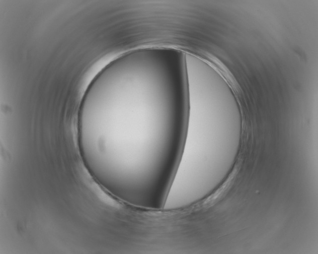 X0000090970812200708021141