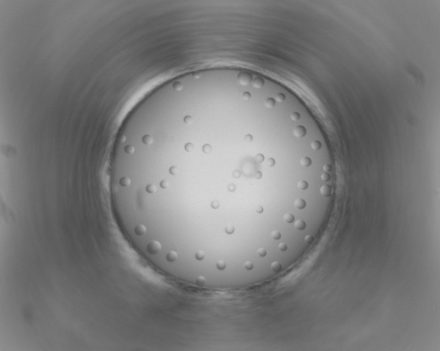X0000090970814200708021141