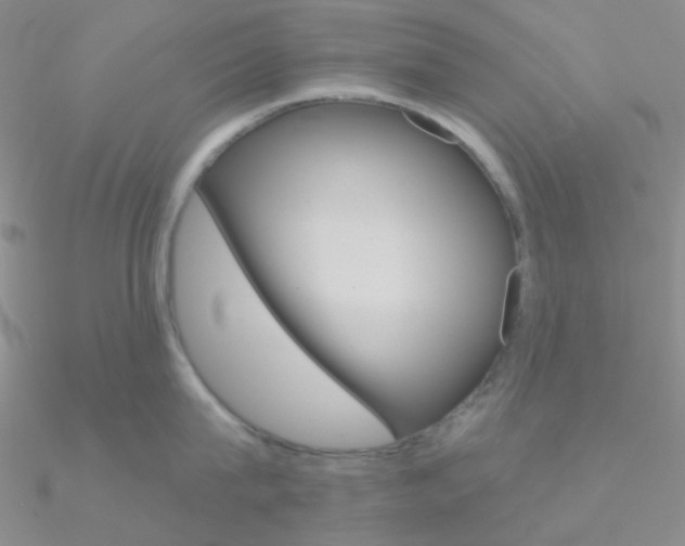 X0000090970815200708021141