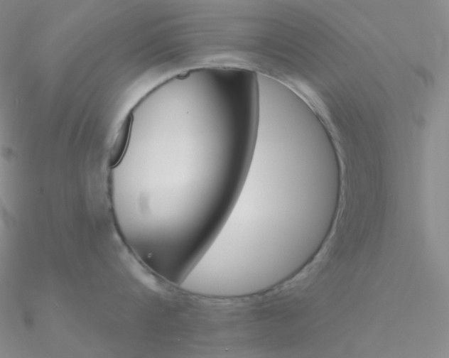 X0000090970816200708021141