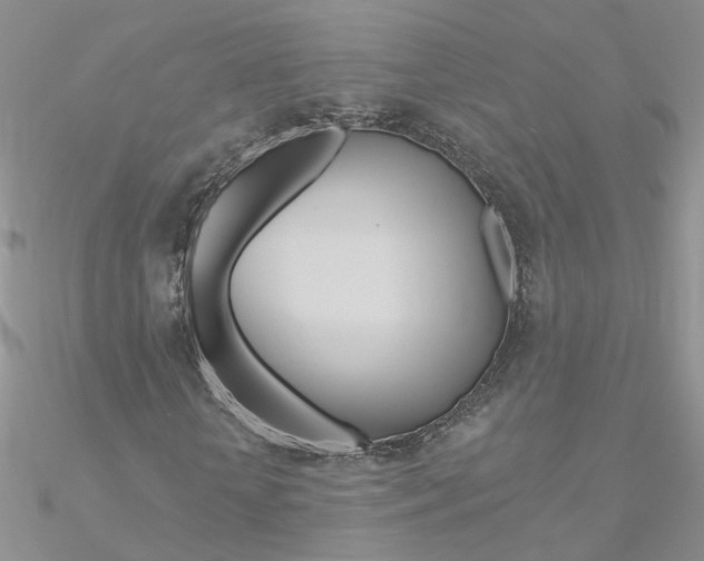 X0000090970818200708021140