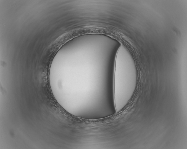 X0000090970821200708021140