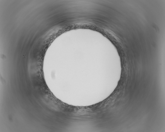 X0000090970824200708021140