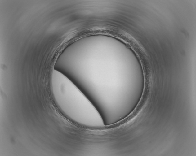 X0000090970825200708021140