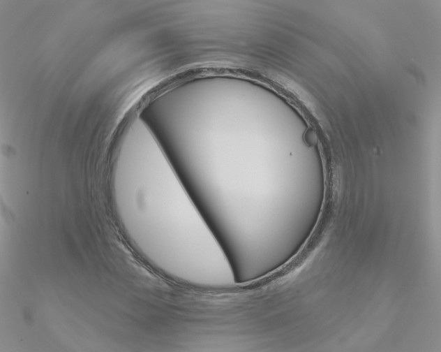 X0000090970829200708021140